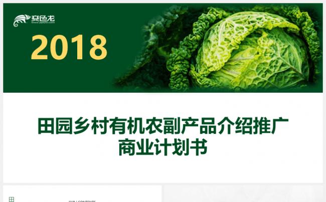 【境海】2018田园乡村有机农副产品介绍推广商业计划书模板缩略图